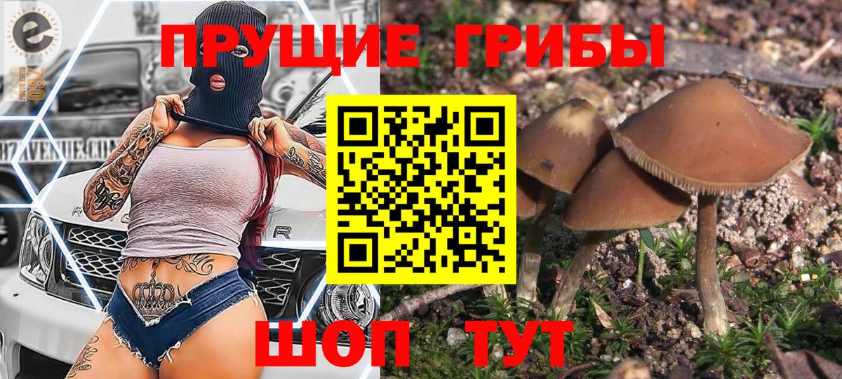 Псилоцибиновые грибы MAGIC MUSHROOMS Владикавказ