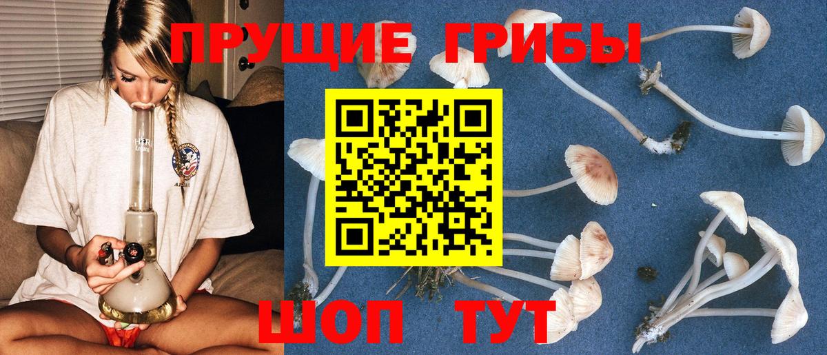 Владикавказ  Псилоцибиновые грибы ЛСД  Вход с VPN  Галлюциногенные грибы GOLDEN TEACHER 
